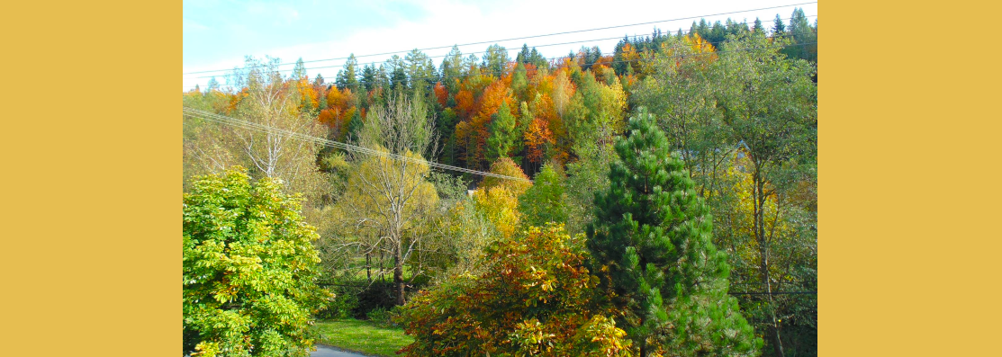 Zawoja-Chata-pod-Kwiatkiem